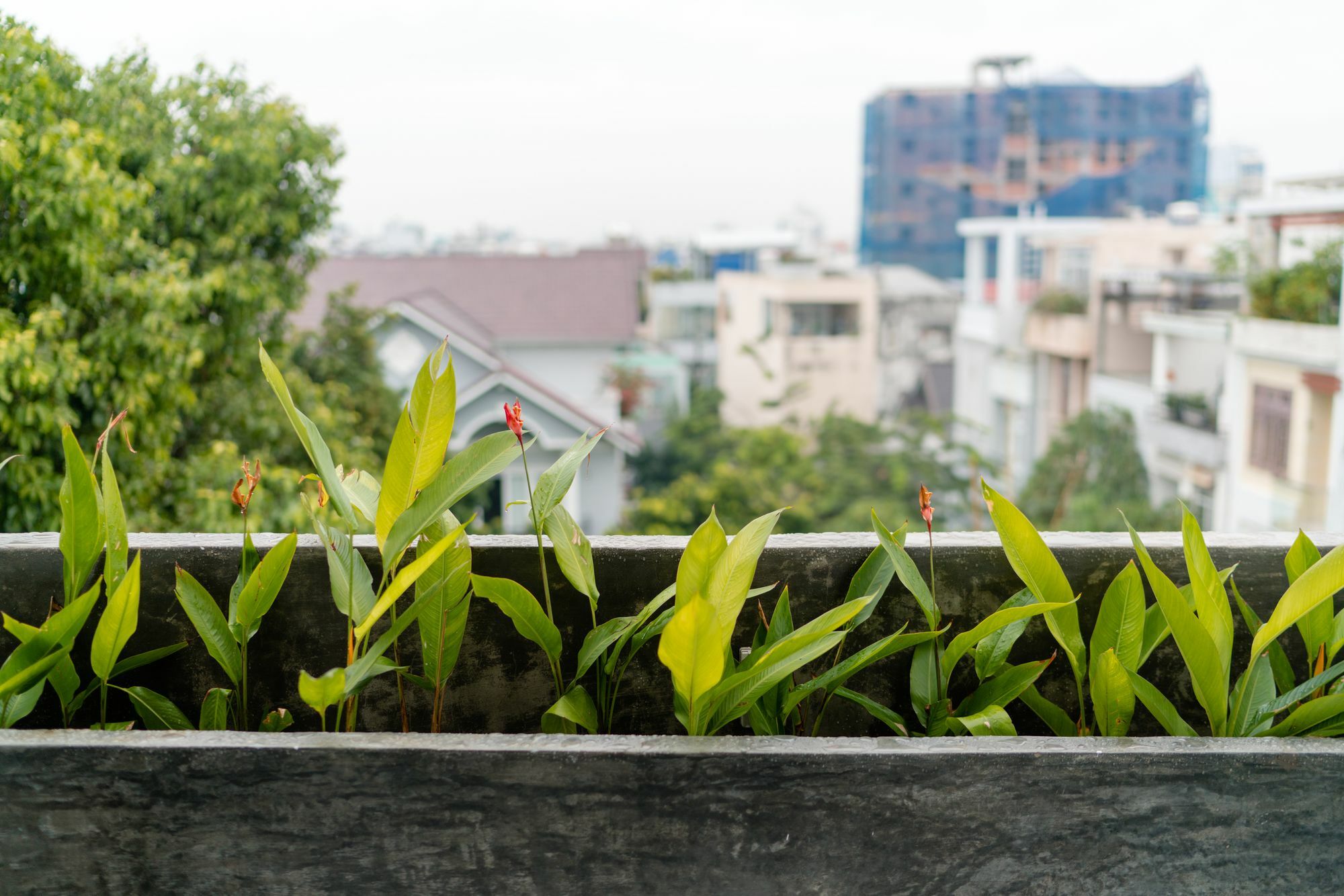 Iam Saigon Homestay Ho Chi Minh-stad Buitenkant foto
